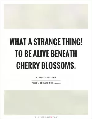 What a strange thing! to be alive beneath cherry blossoms Picture Quote #1