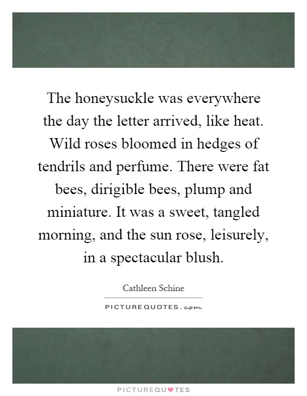 The honeysuckle was everywhere the day the letter arrived, like heat. Wild roses bloomed in hedges of tendrils and perfume. There were fat bees, dirigible bees, plump and miniature. It was a sweet, tangled morning, and the sun rose, leisurely, in a spectacular blush Picture Quote #1
