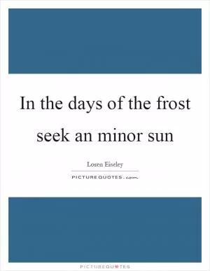 In the days of the frost seek an minor sun Picture Quote #1