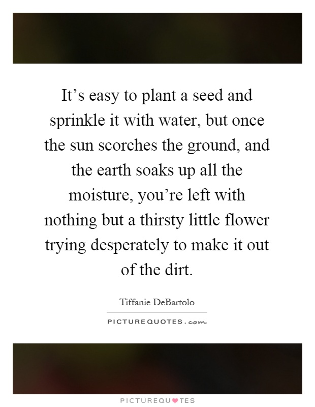 It's easy to plant a seed and sprinkle it with water, but once the sun scorches the ground, and the earth soaks up all the moisture, you're left with nothing but a thirsty little flower trying desperately to make it out of the dirt Picture Quote #1
