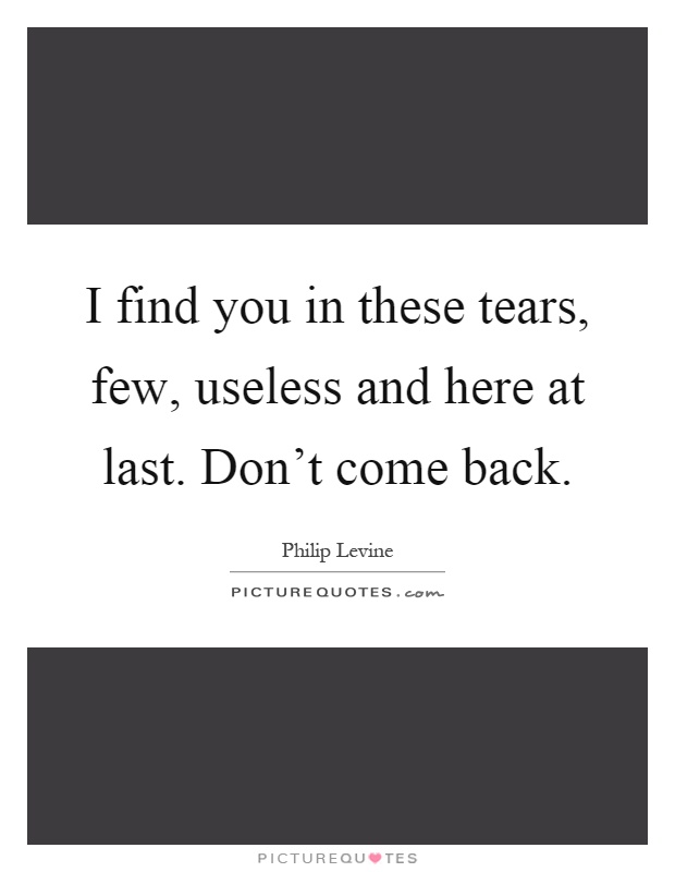I find you in these tears, few, useless and here at last. Don't come back Picture Quote #1