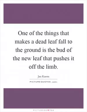 One of the things that makes a dead leaf fall to the ground is the bud of the new leaf that pushes it off the limb Picture Quote #1