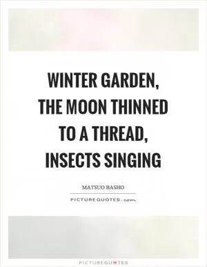 Winter garden, the moon thinned to a thread, insects singing Picture Quote #1