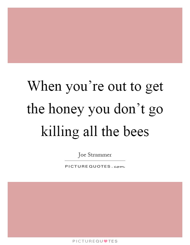 When you're out to get the honey you don't go killing all the bees Picture Quote #1