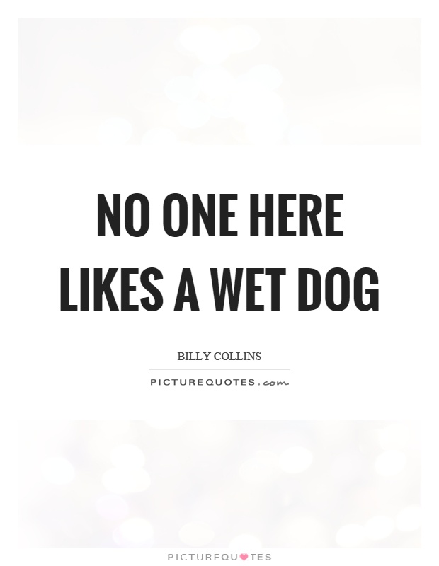 No one here likes a wet dog Picture Quote #1