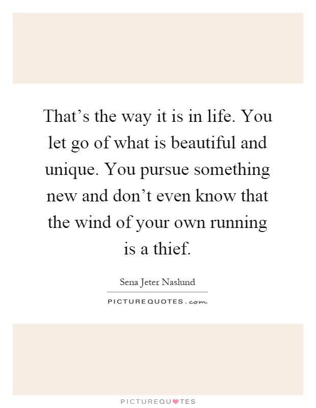 That's the way it is in life. You let go of what is beautiful and unique. You pursue something new and don't even know that the wind of your own running is a thief Picture Quote #1