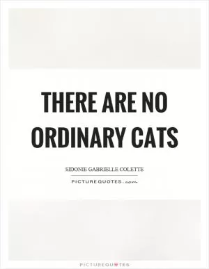 There are no ordinary cats Picture Quote #1