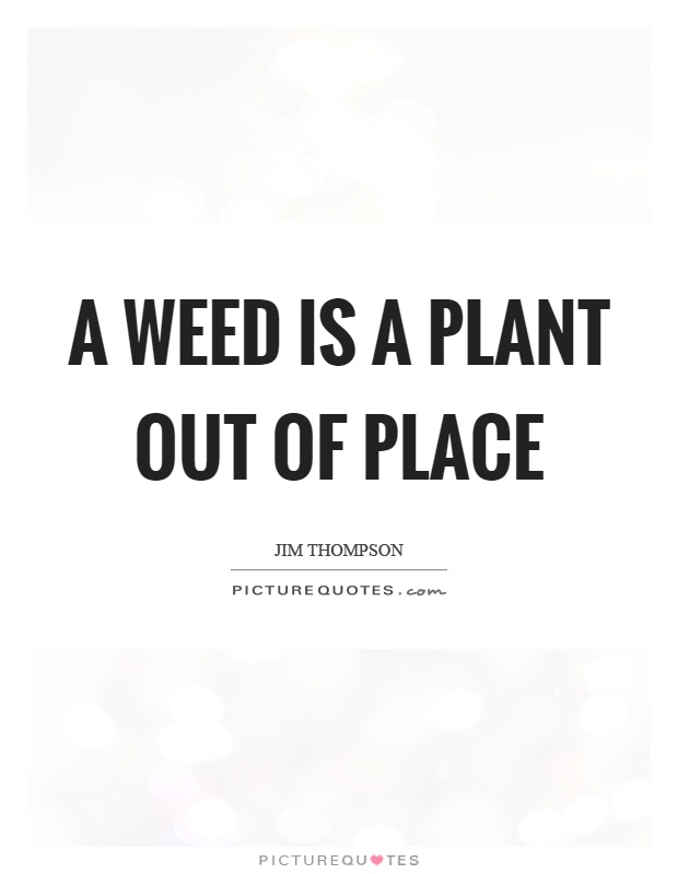 A weed is a plant out of place Picture Quote #1