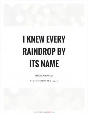 I knew every raindrop by its name Picture Quote #1