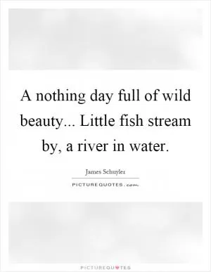 A nothing day full of wild beauty... Little fish stream by, a river in water Picture Quote #1