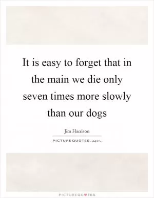It is easy to forget that in the main we die only seven times more slowly than our dogs Picture Quote #1