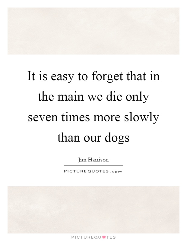 It is easy to forget that in the main we die only seven times more slowly than our dogs Picture Quote #1