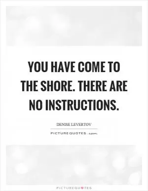 You have come to the shore. There are no instructions Picture Quote #1