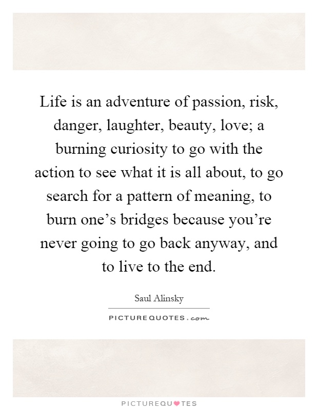 Life is an adventure of passion, risk, danger, laughter, beauty, love; a burning curiosity to go with the action to see what it is all about, to go search for a pattern of meaning, to burn one's bridges because you're never going to go back anyway, and to live to the end Picture Quote #1