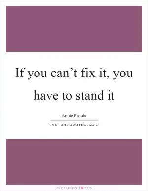 If you can’t fix it, you have to stand it Picture Quote #1