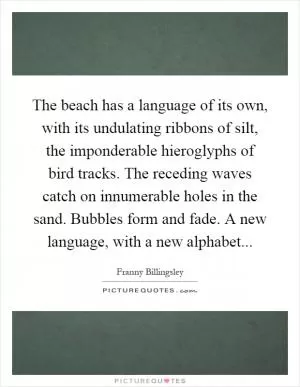 The beach has a language of its own, with its undulating ribbons of silt, the imponderable hieroglyphs of bird tracks. The receding waves catch on innumerable holes in the sand. Bubbles form and fade. A new language, with a new alphabet Picture Quote #1