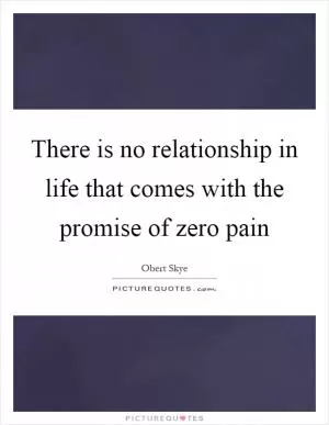 There is no relationship in life that comes with the promise of zero pain Picture Quote #1