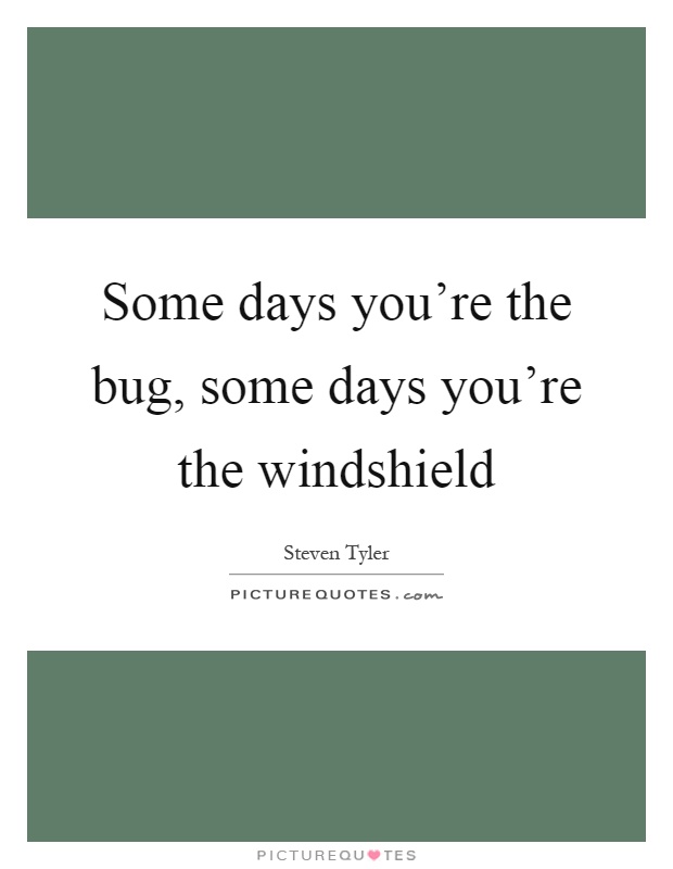 Some days you're the bug, some days you're the windshield Picture Quote #1