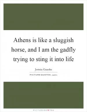 Athens is like a sluggish horse, and I am the gadfly trying to sting it into life Picture Quote #1