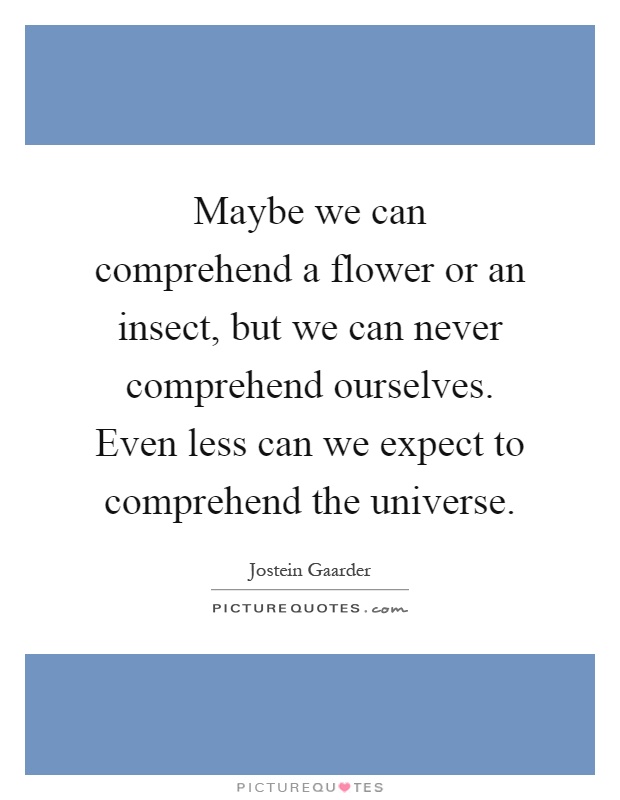 Maybe we can comprehend a flower or an insect, but we can never comprehend ourselves. Even less can we expect to comprehend the universe Picture Quote #1