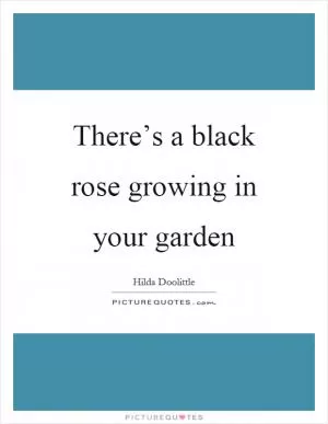 There’s a black rose growing in your garden Picture Quote #1