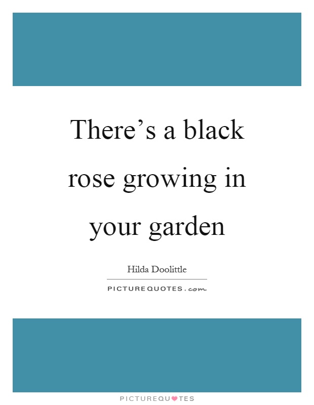 There's a black rose growing in your garden Picture Quote #1