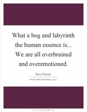 What a bog and labyrinth the human essence is... We are all overbrained and overemotioned Picture Quote #1