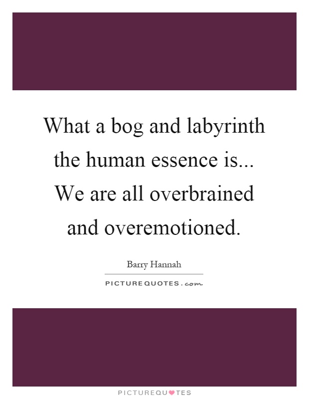 What a bog and labyrinth the human essence is... We are all overbrained and overemotioned Picture Quote #1