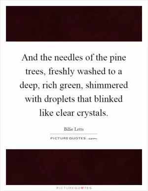 And the needles of the pine trees, freshly washed to a deep, rich green, shimmered with droplets that blinked like clear crystals Picture Quote #1