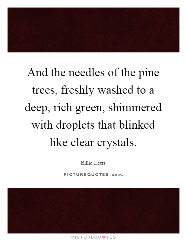 And the needles of the pine trees, freshly washed to a deep, rich green, shimmered with droplets that blinked like clear crystals Picture Quote #1