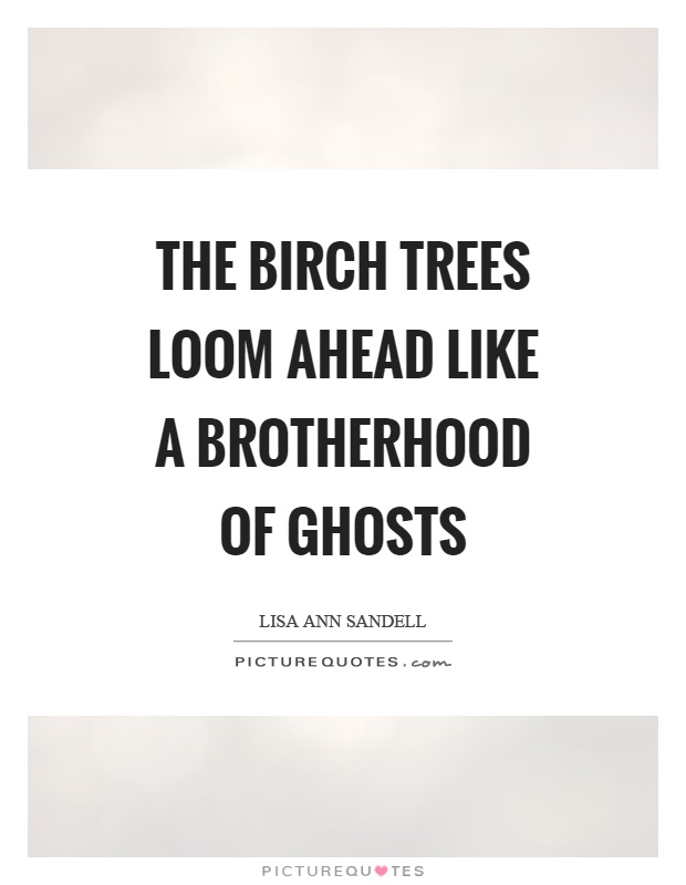 The birch trees loom ahead like a brotherhood of ghosts Picture Quote #1