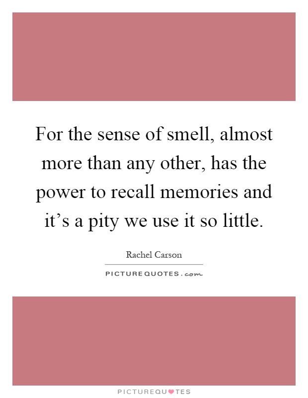 For the sense of smell, almost more than any other, has the power to recall memories and it's a pity we use it so little Picture Quote #1