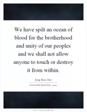 We have spilt an ocean of blood for the brotherhood and unity of our peoples and we shall not allow anyone to touch or destroy it from within Picture Quote #1