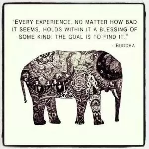 Every experience, no matter how bad it seems, holds within it a blessing of some kind. The goal is to find it Picture Quote #1