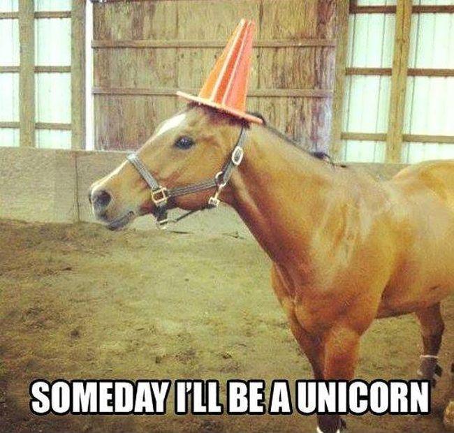 Someday I'll be a unicorn Picture Quote #1