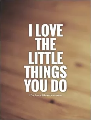 I love the little things you do Picture Quote #1