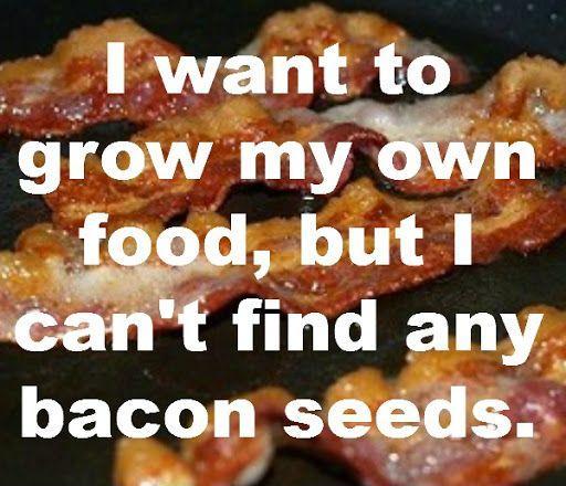 I want to grow my own food but I can't find any bacon seeds Picture Quote #1