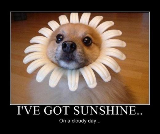 I've got sunshine on a cloudy day Picture Quote #2