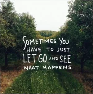 Sometimes you have to just let it go and see what happens Picture Quote #1