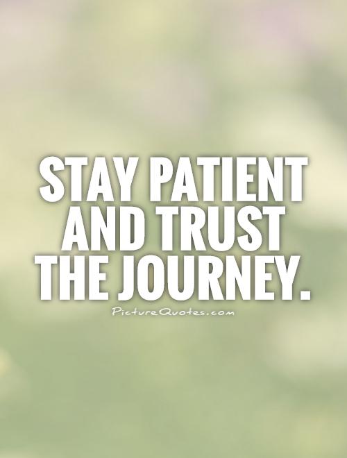 Stay patient and trust the journey Picture Quote #1