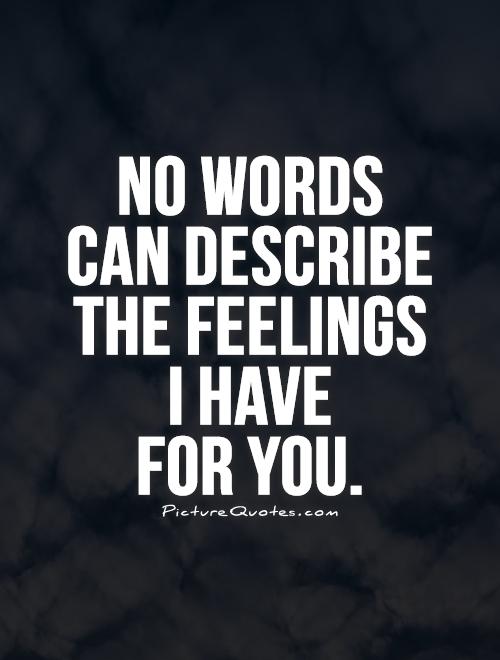 No words  can describe the feelings  I have  for you Picture Quote #1