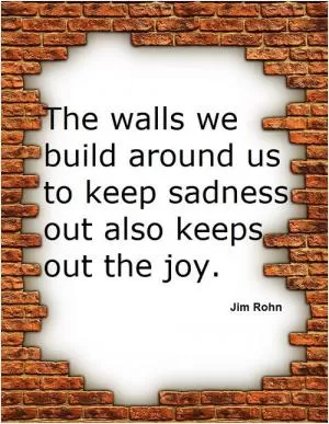 The walls we build around us to keep sadness out also keeps out the joy Picture Quote #1