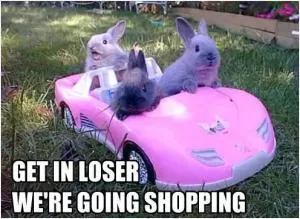 Get in loser. We’re going shopping Picture Quote #1