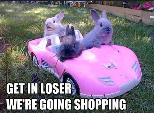 Get in loser. We're going shopping Picture Quote #1