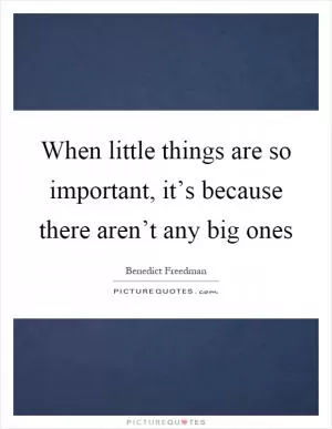 When little things are so important, it’s because there aren’t any big ones Picture Quote #1