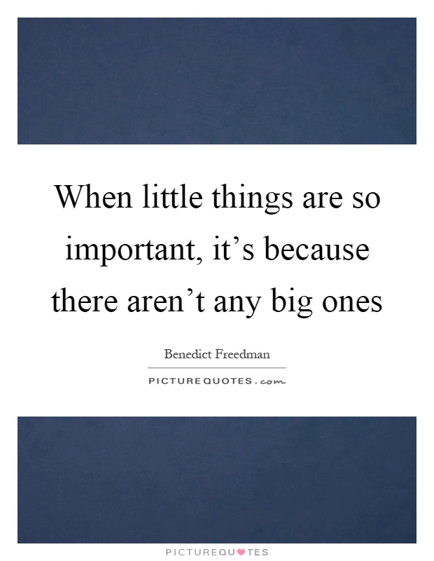 When little things are so important, it's because there aren't any big ones Picture Quote #1