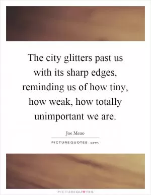 The city glitters past us with its sharp edges, reminding us of how tiny, how weak, how totally unimportant we are Picture Quote #1