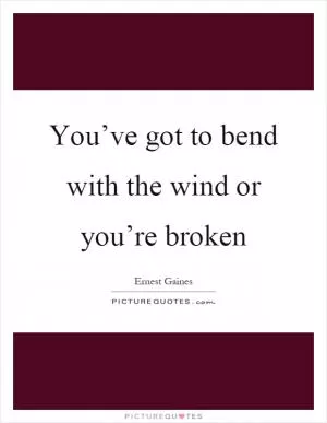 You’ve got to bend with the wind or you’re broken Picture Quote #1
