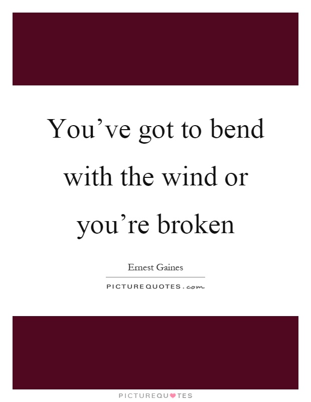 You've got to bend with the wind or you're broken Picture Quote #1