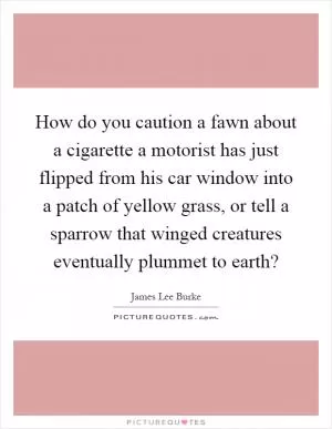How do you caution a fawn about a cigarette a motorist has just flipped from his car window into a patch of yellow grass, or tell a sparrow that winged creatures eventually plummet to earth? Picture Quote #1